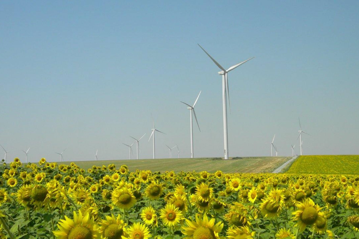 Proiecte cu energie regenerabilă